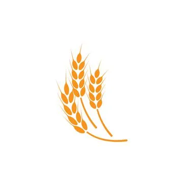 Ears of wheat. Logo. Vector illustration on white isolated background Stock Illustration