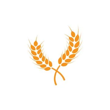 Ears of wheat. Logo. Vector illustration on white isolated background Stock Illustration