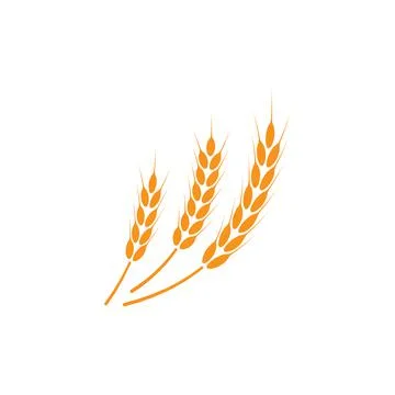 Ears of wheat. Logo. Vector illustration on white isolated background Stock Illustration