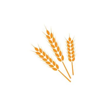 Ears of wheat. Logo. Vector illustration on white isolated background Stock Illustration