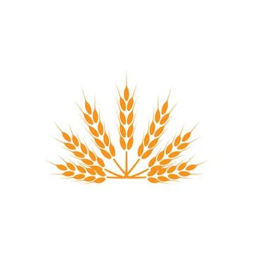 Ears of wheat. Logo. Vector illustration on white isolated background Stock Illustration