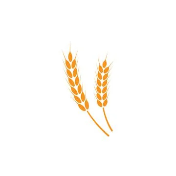 Ears of wheat. Logo. Vector illustration on white isolated background Stock Illustration
