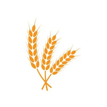 Ears of wheat. Logo. Vector illustration on white isolated background Stock Illustration