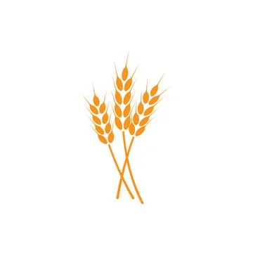 Ears of wheat. Logo. Vector illustration on white isolated background Stock Illustration
