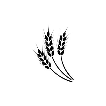 Ears of wheat. Logo. Vector illustration on white isolated background Stock Illustration
