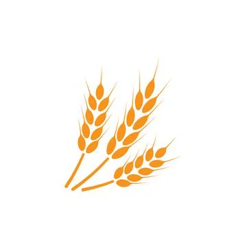 Ears of wheat. Logo. Vector illustration on white isolated background Stock Illustration