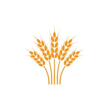 Ears of wheat. Logo. Vector illustration on white isolated background Stock Illustration