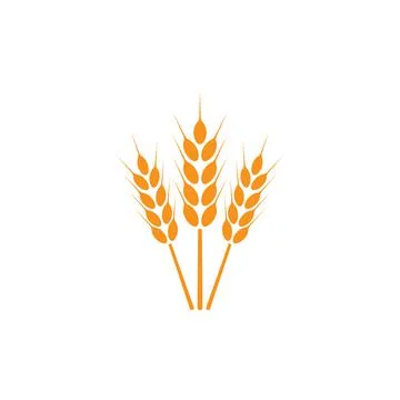 Ears of wheat. Logo. Vector illustration on white isolated background Stock Illustration