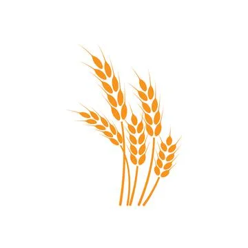 Ears of wheat. Logo. Vector illustration on white isolated background Stock Illustration