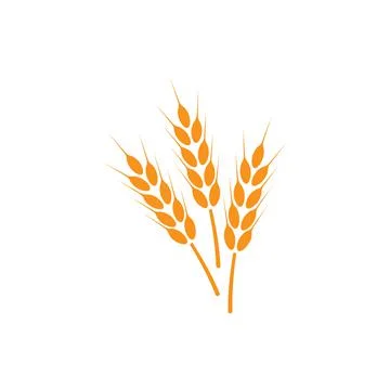 Ears of wheat. Logo. Vector illustration on white isolated background Stock Illustration