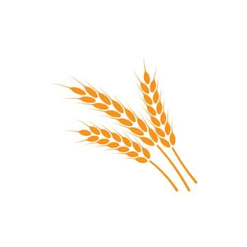 Ears of wheat. Logo. Vector illustration on white isolated background Illustrazione stock