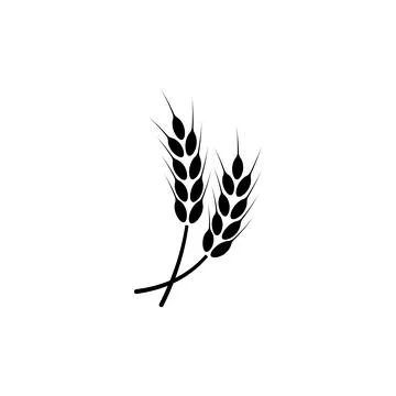 Ears of wheat. Logo. Vector illustration on white isolated background Stock Illustration