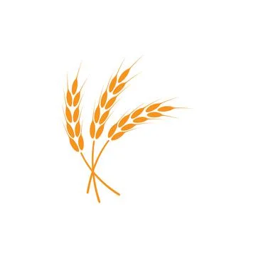 Ears of wheat. Logo. Vector illustration on white isolated background Stock Illustration