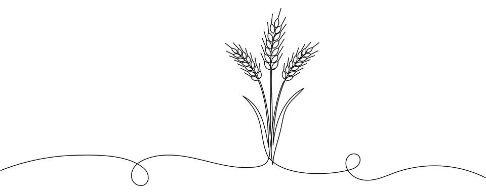 Ears of wheat one continuous line drawing .Fall harvest line art. Vector one  Stock Illustration