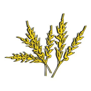 Ears of wheat. Passover, Shavuot. Vector illustration on isolated background. Stock Illustration