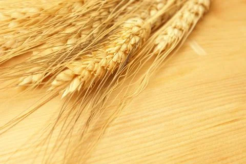 Ears of Wheat Foto stock