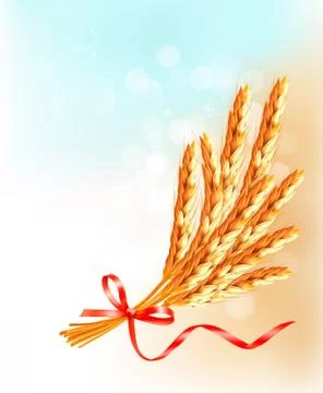Ears of wheat  with red ribbon. vector illustration. Stock Illustration