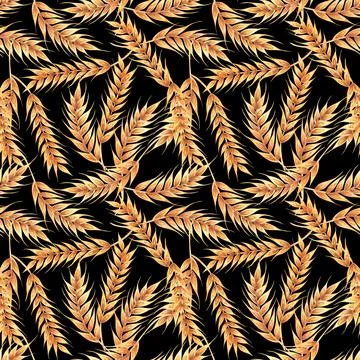 Ears wheat spikelets on a black background. Watercolor seamless pattern hand Stock Illustration
