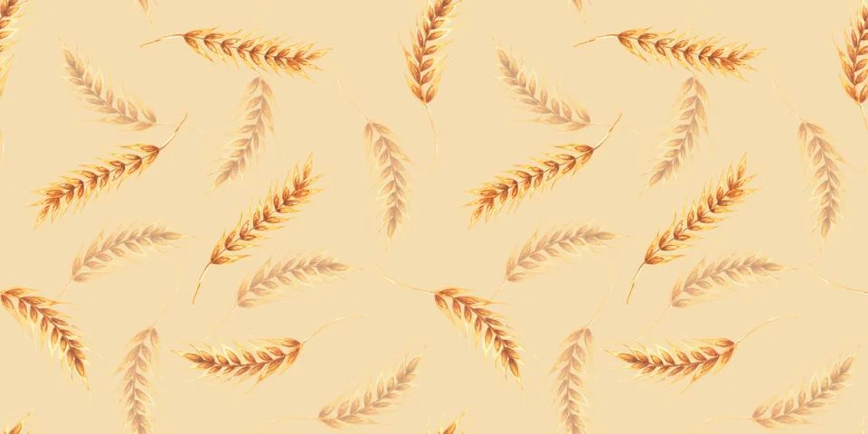 Ears wheat spikelets on a white background. Watercolor seamless pattern hand Stock Illustration