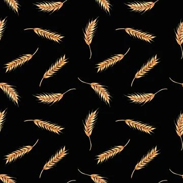 Ears wheat spikelets on a white background. Watercolor seamless pattern hand Stock Illustration