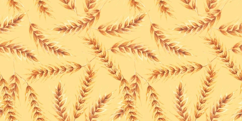Ears wheat spikelets on a white background. Watercolor seamless pattern hand Stock Illustration
