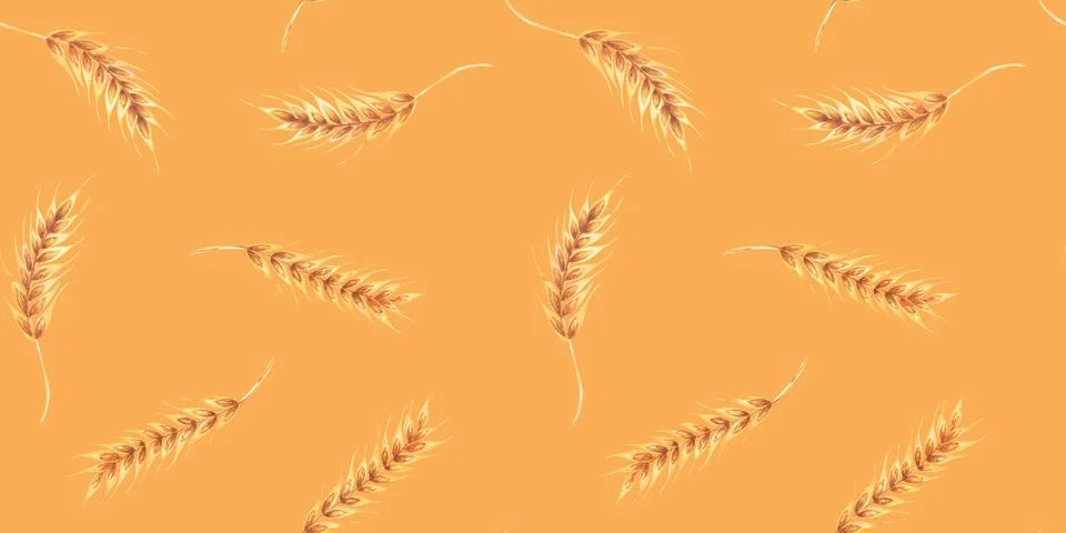 Ears wheat spikelets on a white background. Watercolor seamless pattern hand Stock Illustration