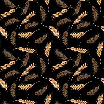 Ears wheat spikelets on a white background. Watercolor seamless pattern hand Stock Illustration