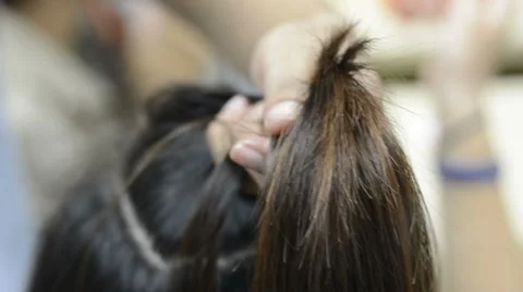 Ears of wheat at sunset Stock Footage 63180833