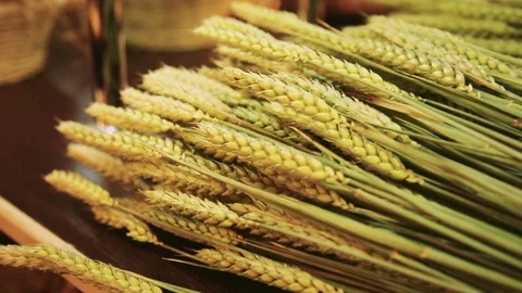 Ears of wheat on the table Stock Footage 73106417