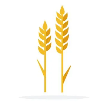 Ears of wheat vector flat isolated Stock Illustration