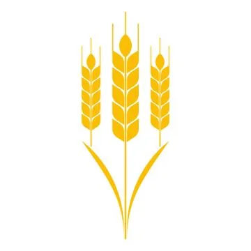 Ears of Wheat, Vector Illustration, Icon of Premium Quality. Stock Illustration