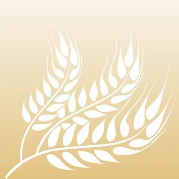 Ears of wheat. Wheat ears background image. Vector illustration. Illustrazione stock