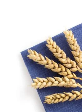 Ears of wheat on white Stock Photos