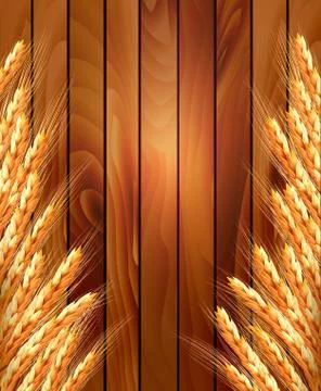 Ears of wheat on wooden background. vector illustration Stock Illustration