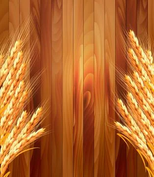 Ears of wheat on wooden background. vector illustration Stock Illustration