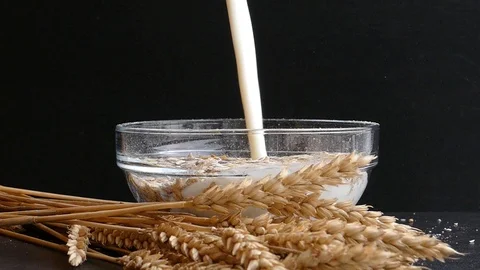 Ears of wheat,muesli falling into empty transparent glass bowl,pour in milk Stock Footage 97710973