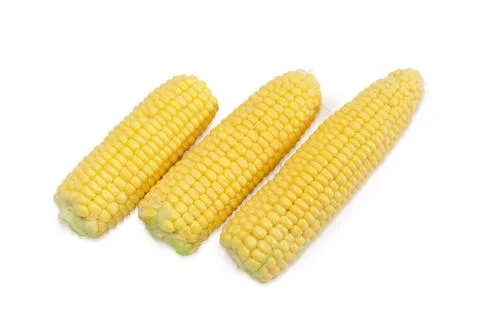 Ears of the young corn on the cob Stock Photos