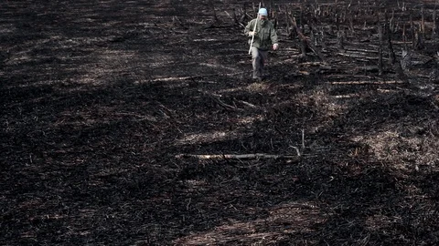 Earth after a fire Stock Footage 101325442