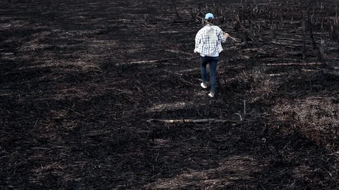 Earth after a fire Stock Footage 101325987