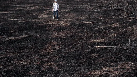 Earth after a fire Stock Footage 101326088