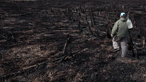 Earth after a fire Видео 101326646
