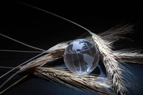 Earth and bread Stock Photos