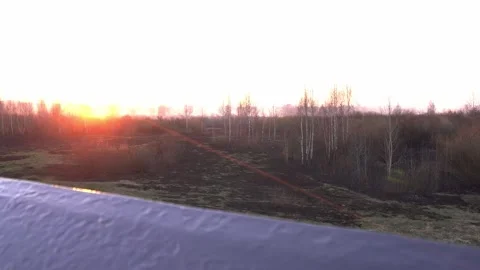 Earth and grass after a fire against the backdrop of a forest and the setting Stock Footage 310941835