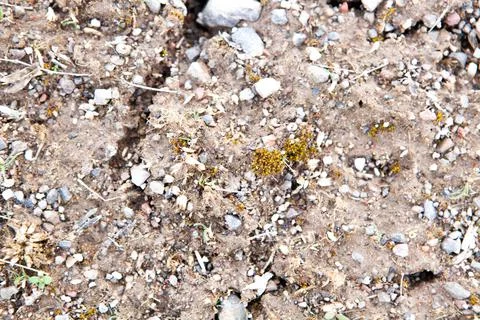 Earth and small stones as background Stock Photos