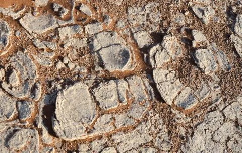 Earth background Stock Photos