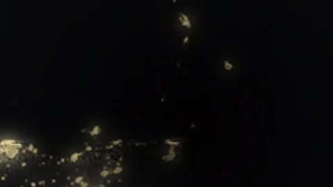 Earth with borders of Grenada at night Stock Footage 103397653