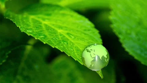 Earth CG Video stock 327623431