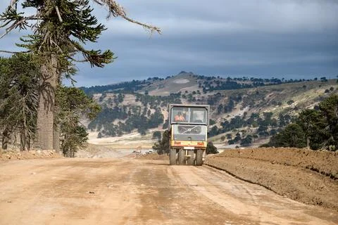 Earth compactor machine, in road construction. Stock Photos