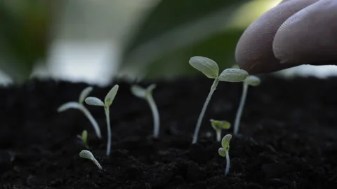 Earth day concept Vidéo 214843471