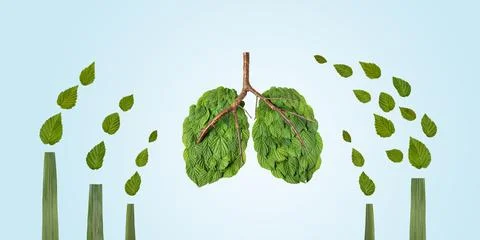 Earth day concept Stock Photos